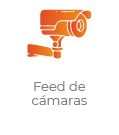 Feed de cámaras